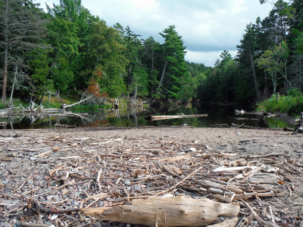 calm waters, reflections and driftwood